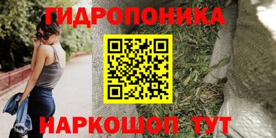 spice Волжск